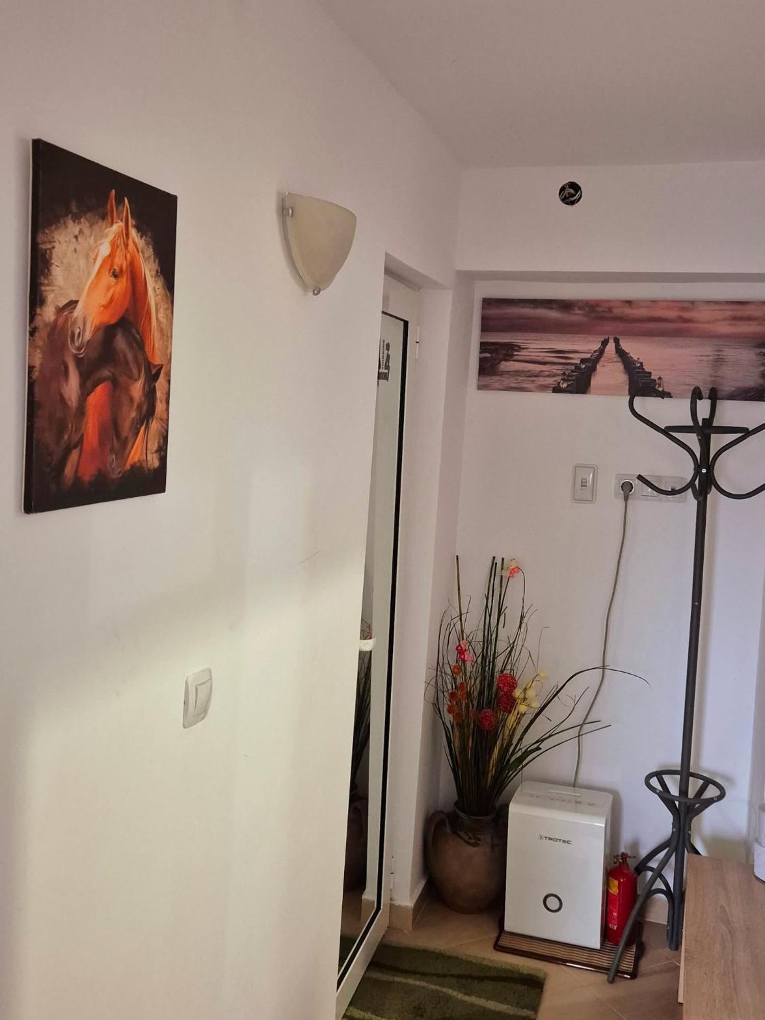 Apartment Shesti Uchastak Gabrovo Luaran gambar